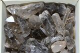 Lot: Lbs Smoky Quartz Crystals (-) - Brazil #77826-1